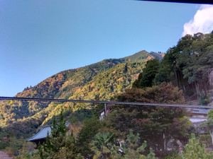 Img_20251110144533835