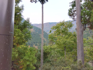 Img_20251113092343722_2