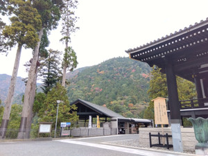 Img_20251113092411280