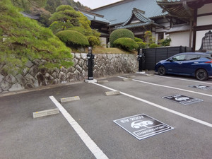 Img_20251113092638007