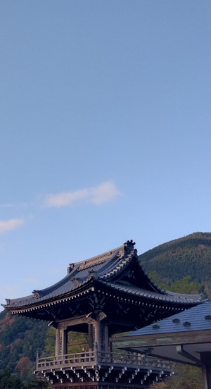 Img_20251115070524013