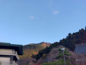 Img_20251115070711653