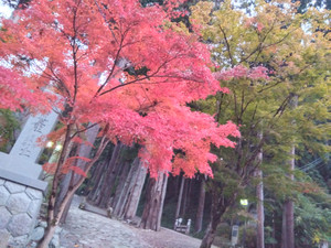 Img_20251116062044100