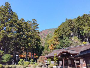 Img_20251117103112081_2