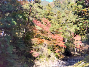 Img_20251117103201493_2