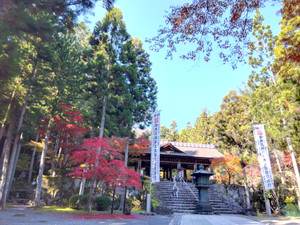 Img_20251117103327304