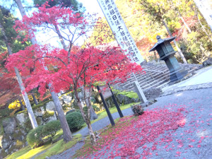 Img_20251117103348672