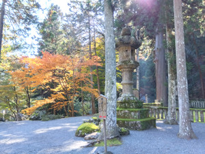 Img_20251117103432218