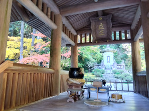 Img_20251117103528806