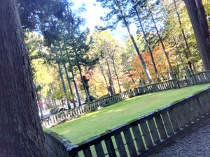 Img_20251117103649336