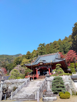 Img_20251120104748597