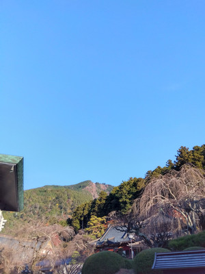 Img_20251123072342420