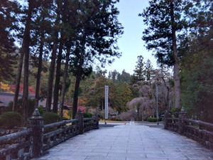 Img_20251124161318637