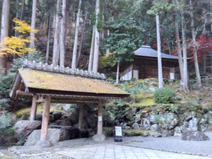 Img_20251124161328383