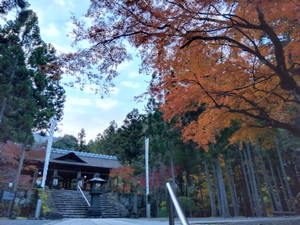 Img_20251124161438537