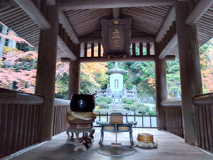 Img_20251124161555541