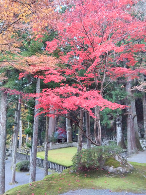 Img_20251124161744210