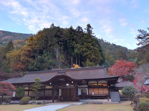 Img_20251124162253936