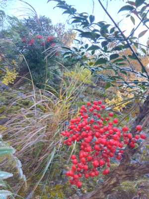 Img_20251126084453039