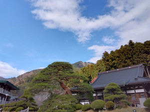 Img_20251127110735868