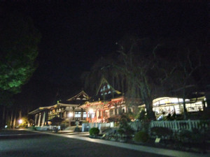 Img_20251201053229986