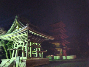 Img_20251201053328340