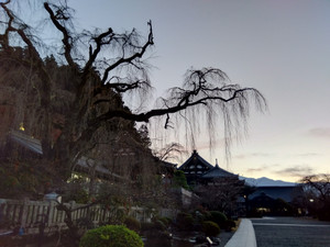 Img_20251201062715674