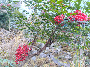 Img_20251205153353095