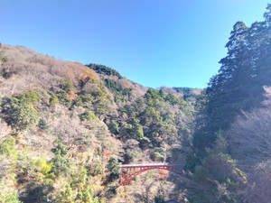 Img_20251207114706714