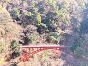 Img_20251207114725912