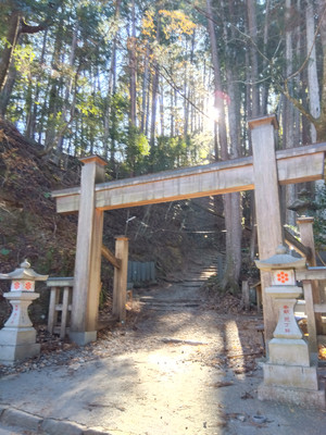 Img_20251207115233525