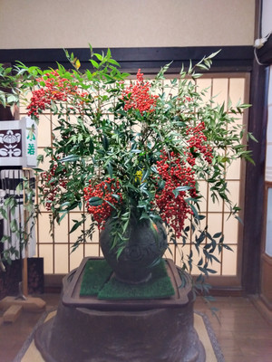 Img_20251211160031770