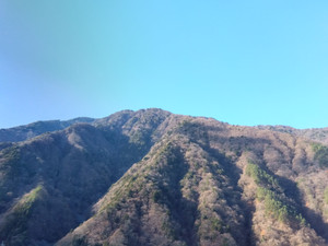 Img_20251216094952301