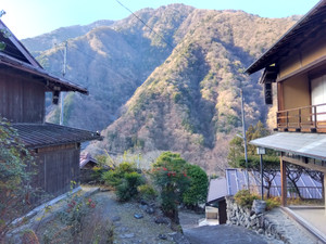 Img_20251216095156949