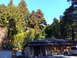 Img_20251217102606755