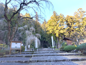 Img_20251217102719643