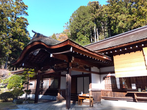 Img_20251217102753070