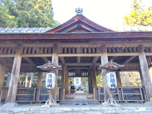 Img_20251217103257489