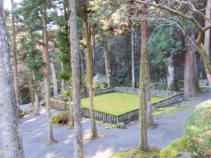 Img_20251217103501095