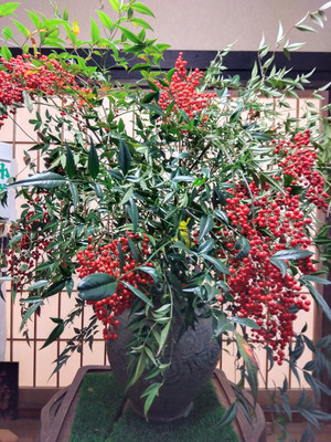 Img_20251211160052736