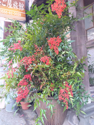 Img_20251216122039524