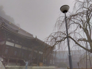 Img_20251225095050275