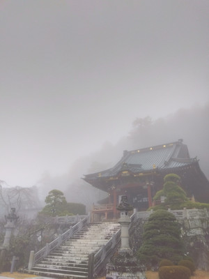 Img_20251225095104290