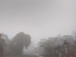 Img_20251225095113466