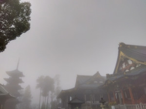 Img_20251225095155145