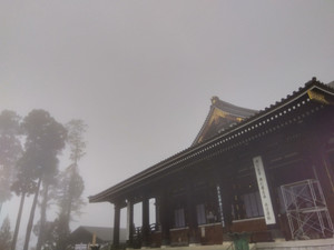 Img_20251225095255533