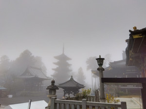 Img_20251225095350434