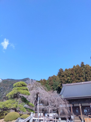 Img_20251230105119532