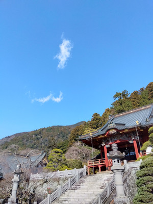 Img_20251230105217946