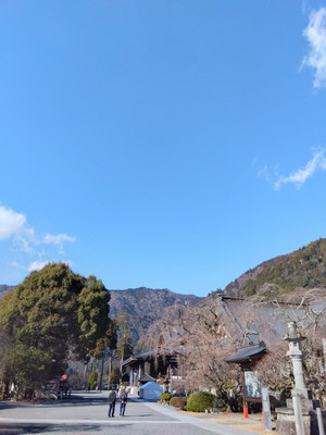 Img_20251230105223132